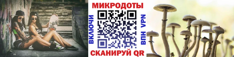 Галлюциногенные грибы Psilocybine cubensis  Окуловка 